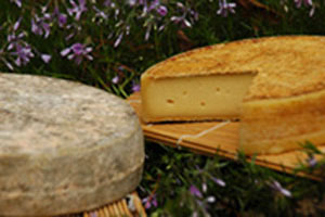 Bethlehem Cheese