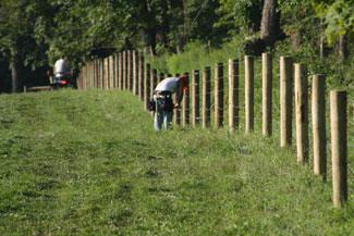 electronic fence