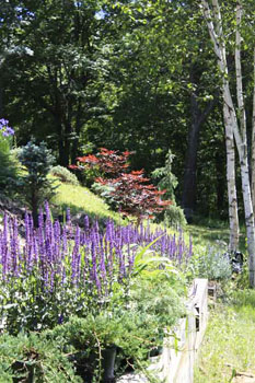 church garden