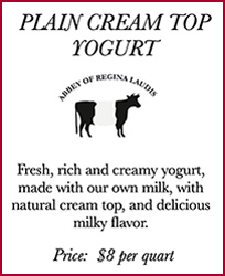 Yogurt